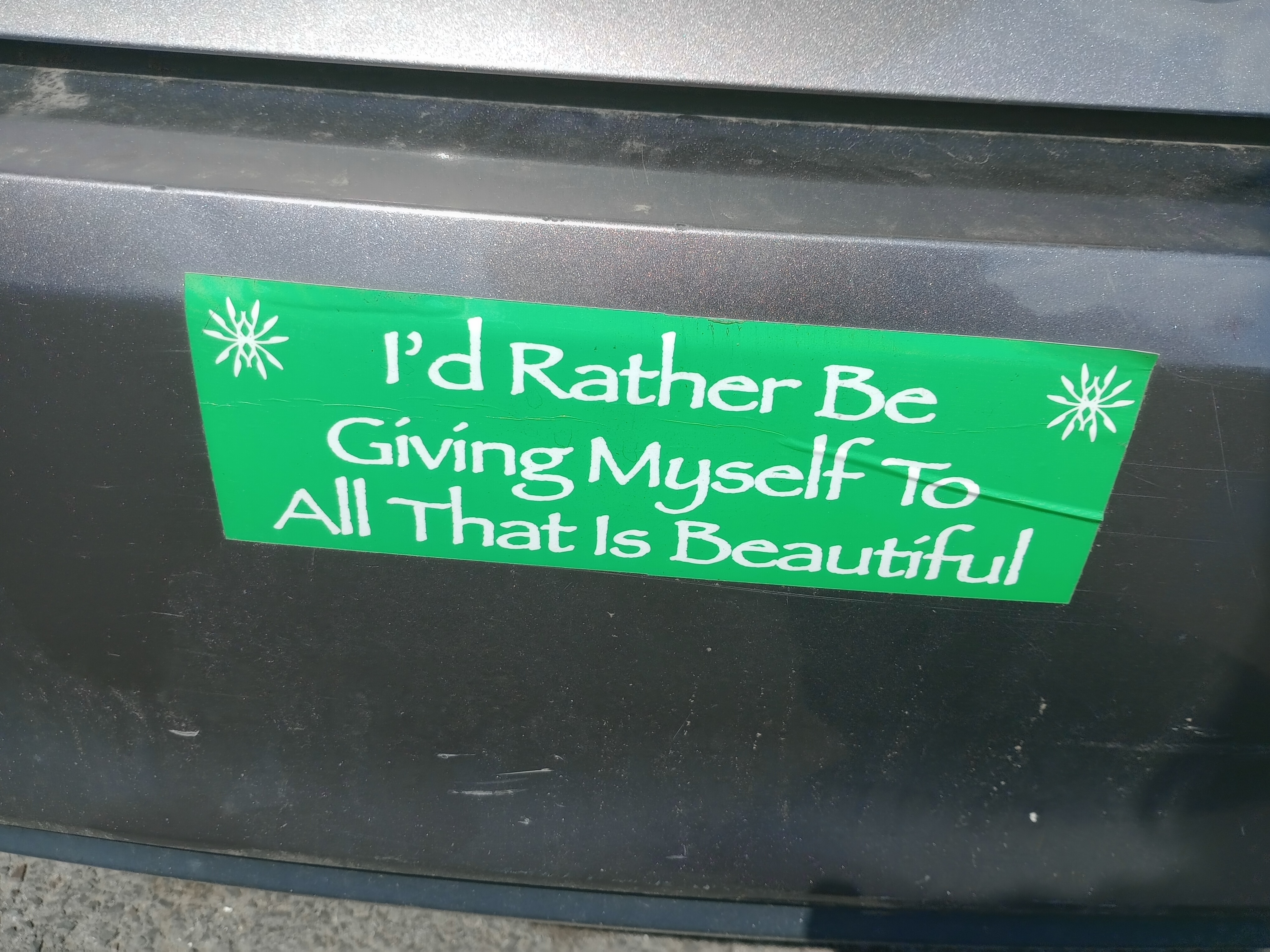 I'd Rather Be Giving Myself To All That Is Beautiful